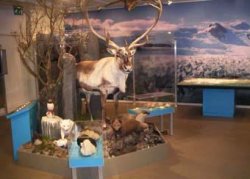 Jöklasýning á Höfn. Bakgrunnsmynd